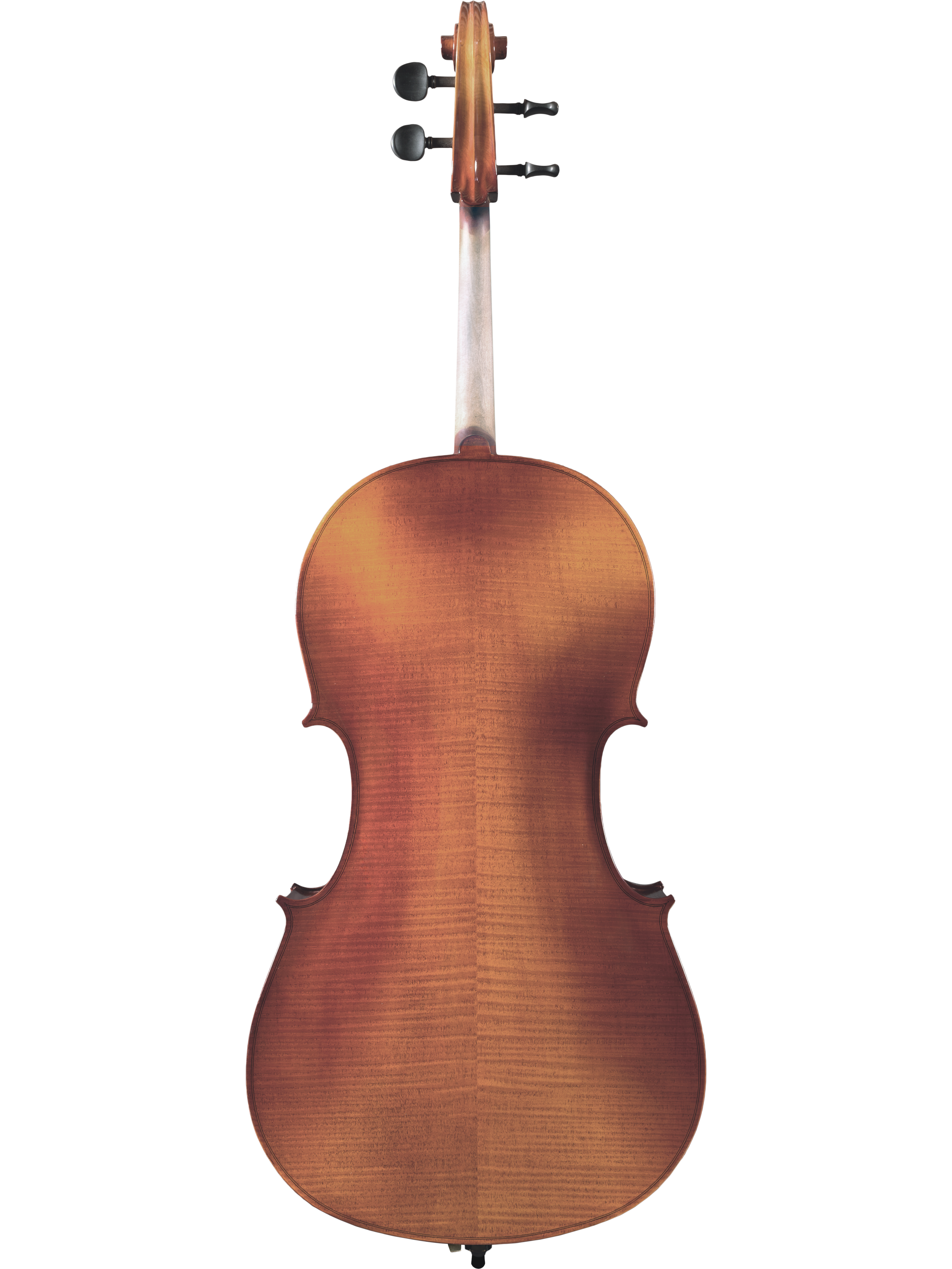 Cello — Store 1 — Maple Leaf Strings